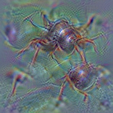 n02206856 bee